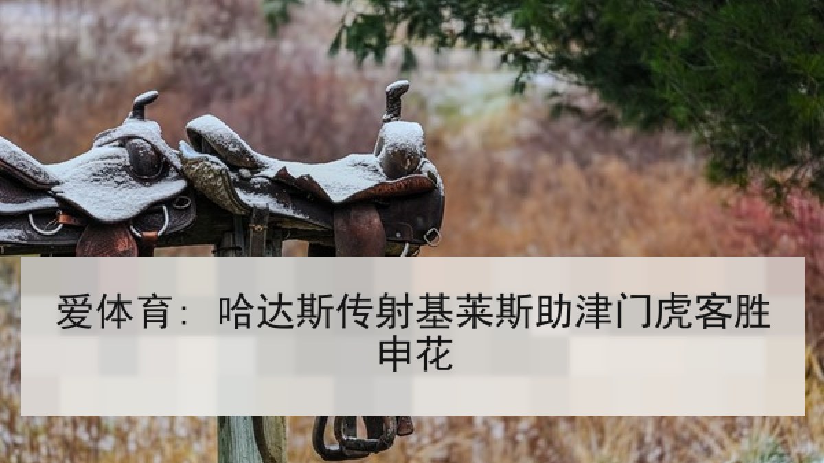 爱体育: 哈达斯传射基莱斯助津门虎客胜申花